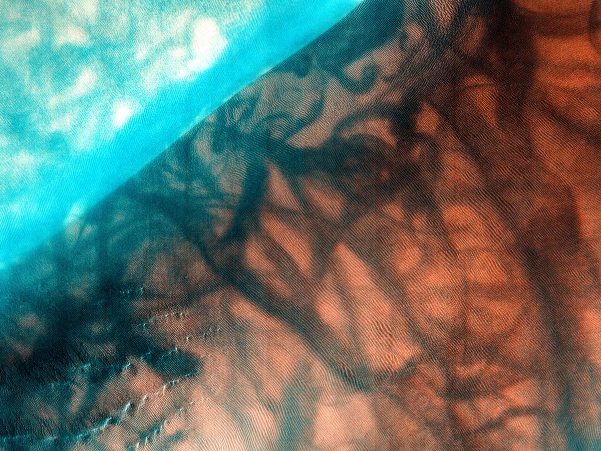 From Capture To Storage: AI Transforming The Carbon Cycle